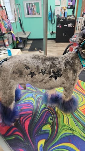 Urban Paws LLC Dog Groomer