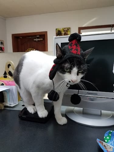 Joni's Pet Salon