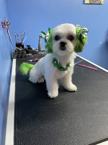 Kar’s Royal Pet Grooming