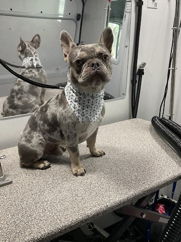 Furry Land Mobile Pet Grooming Miami