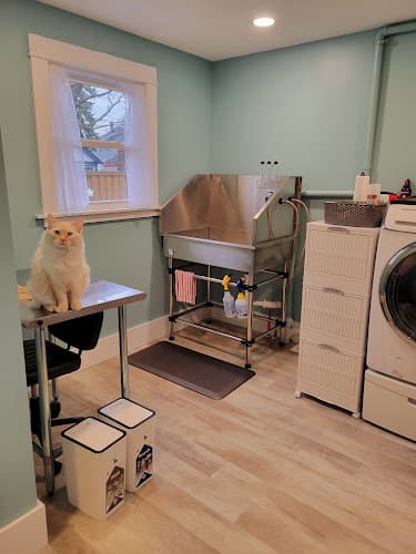 Bell Cat Grooming
