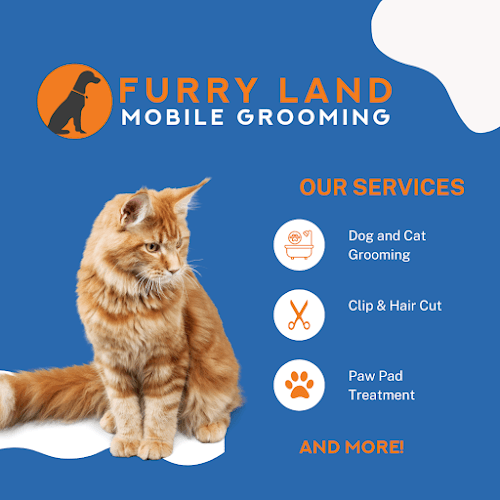 Furry Land of Phoenix