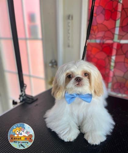 Great paws Pet Grooming
