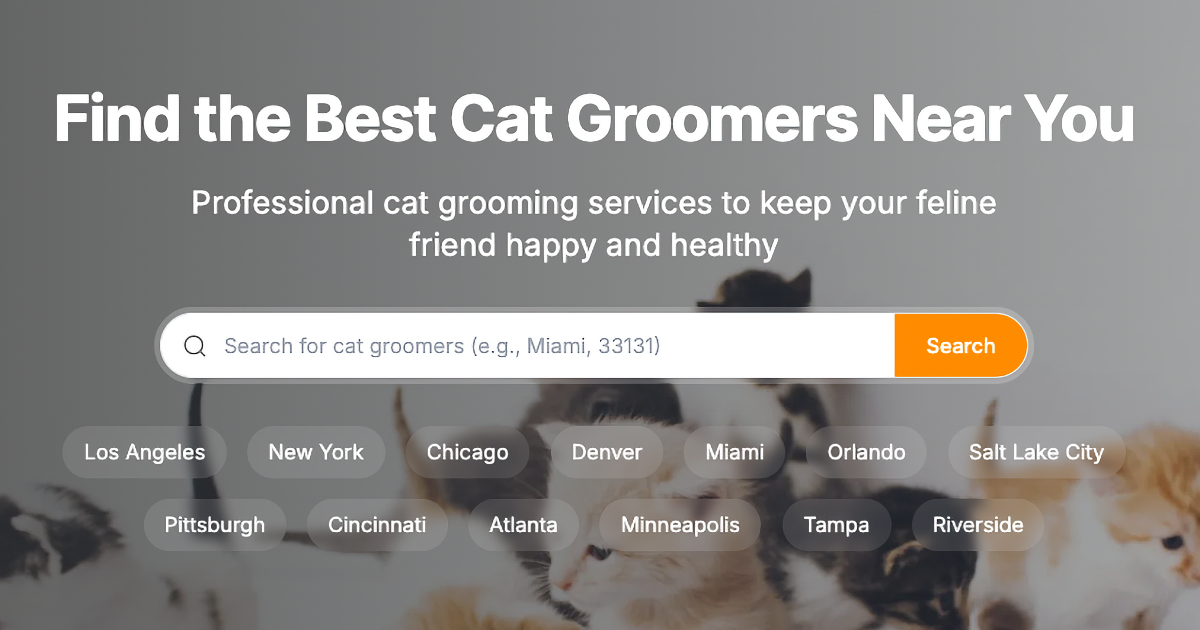 Best Cat Grooming Services | Cat Salon | Mobile Cat Grooming